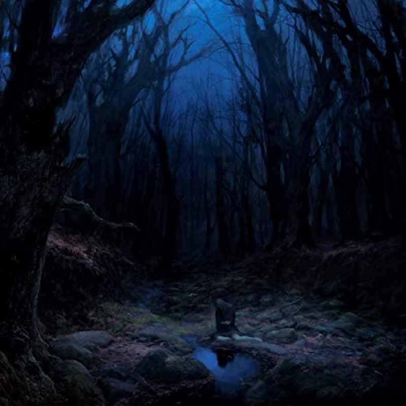 WOODS OF DESOLATION - Torn Beyond Reason Re-Release DIGI